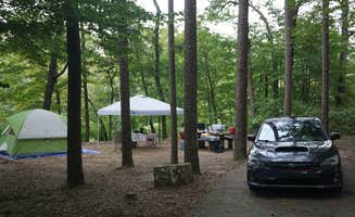 Clari R.'s photo at Long Pool Recreation Area near Russellville, AR