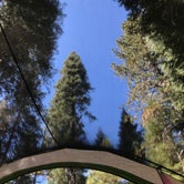 Review photo of Fowlers Campground by Jeannie B., October 29, 2020