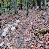 Review photo of Monte Sano State Park Campground by M&P M., October 29, 2020