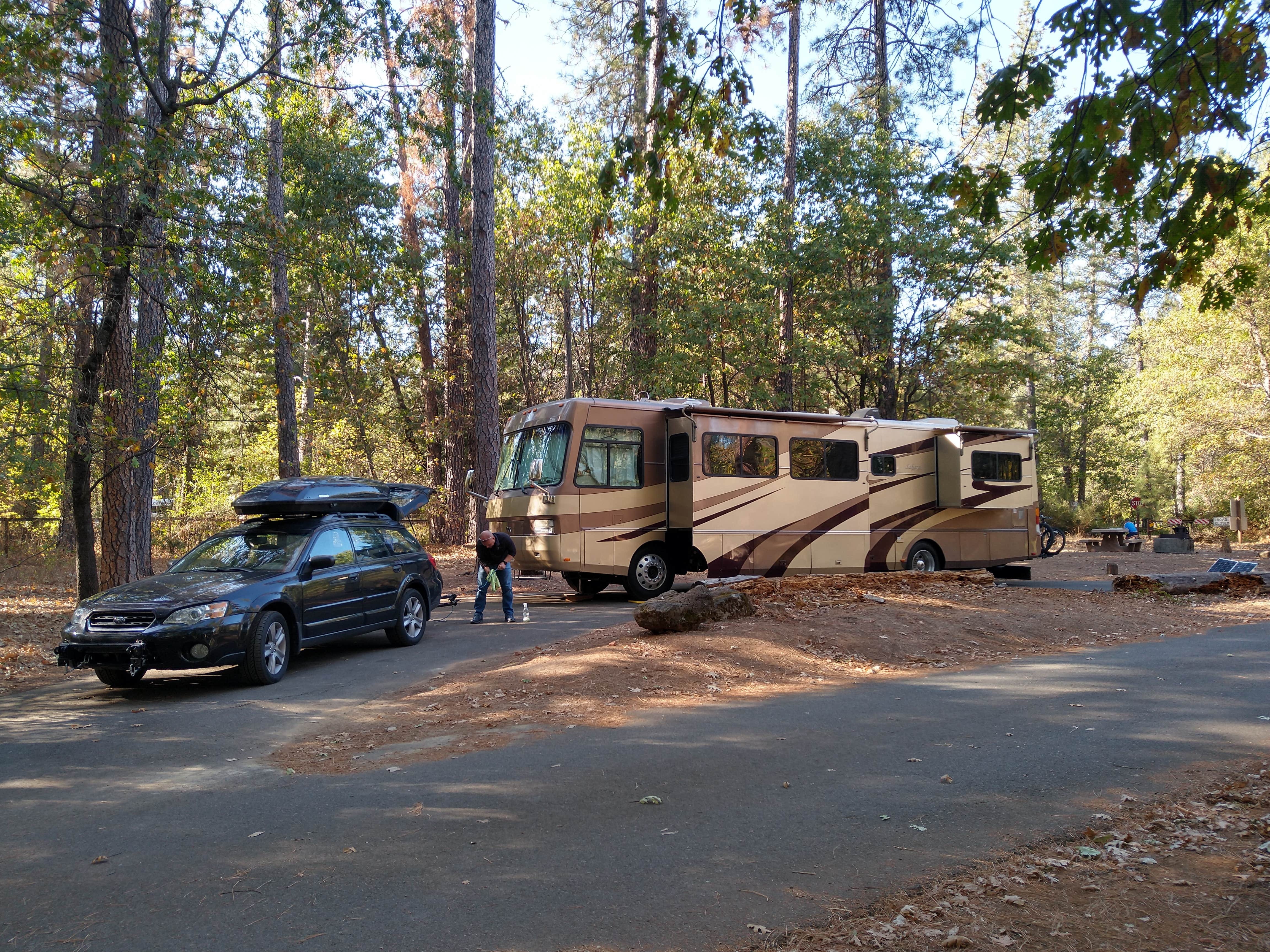 Camper submitted image from Lakeshore East - 4