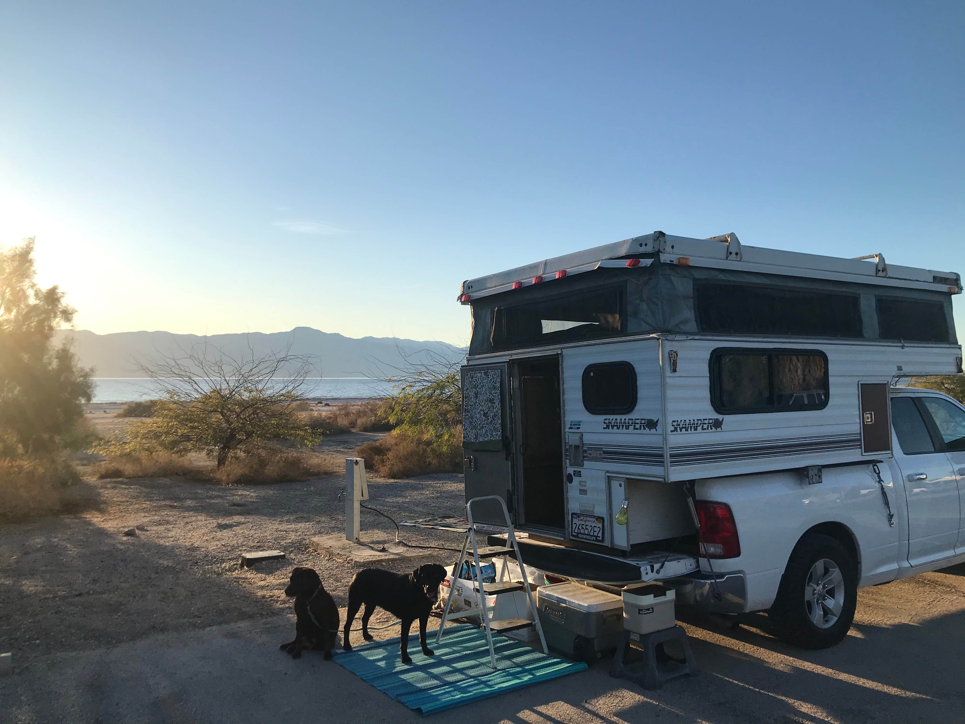 Camper submitted image from Salton Sea Sra - 3