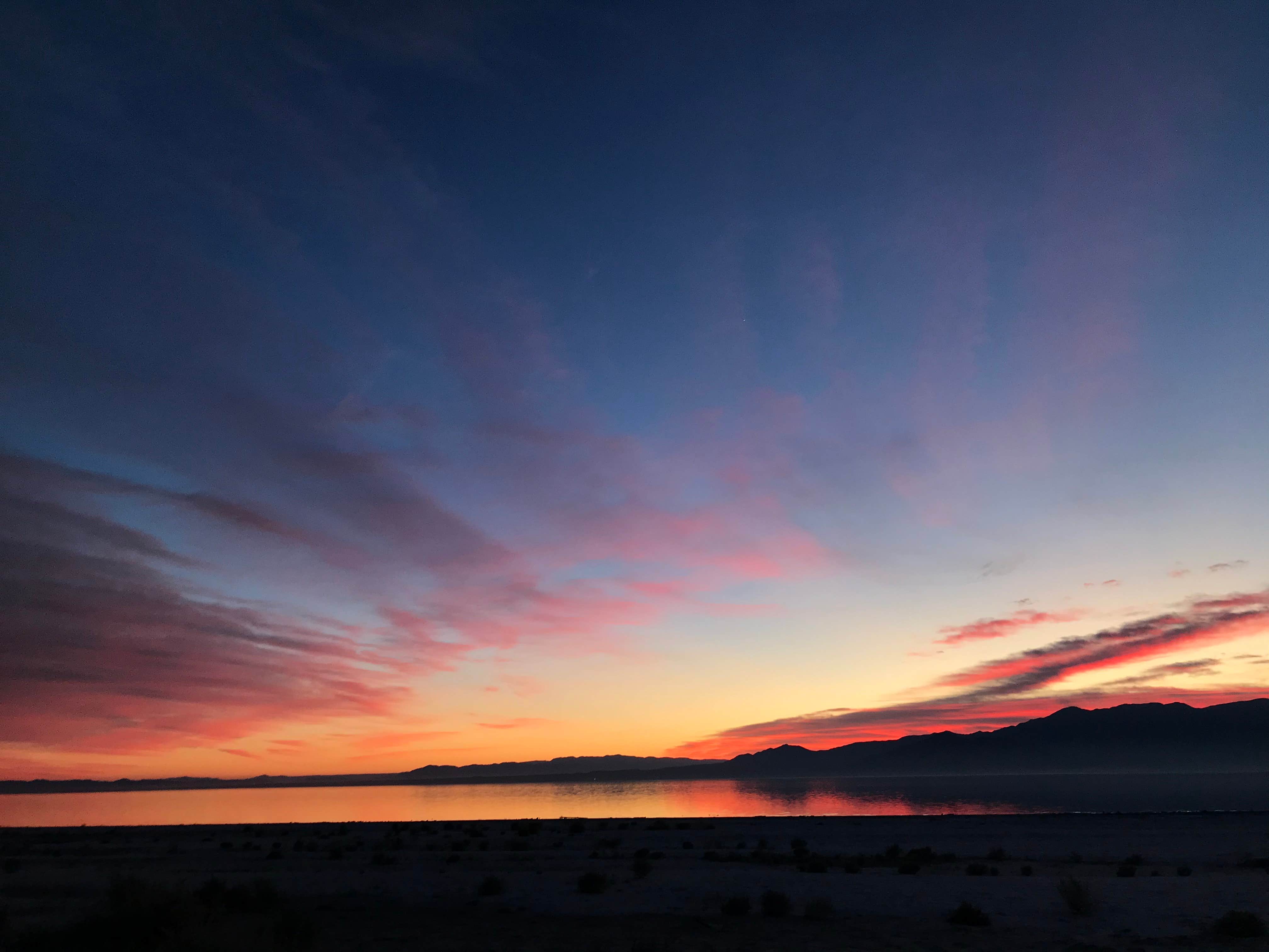 Camper submitted image from Salton Sea Sra - 2