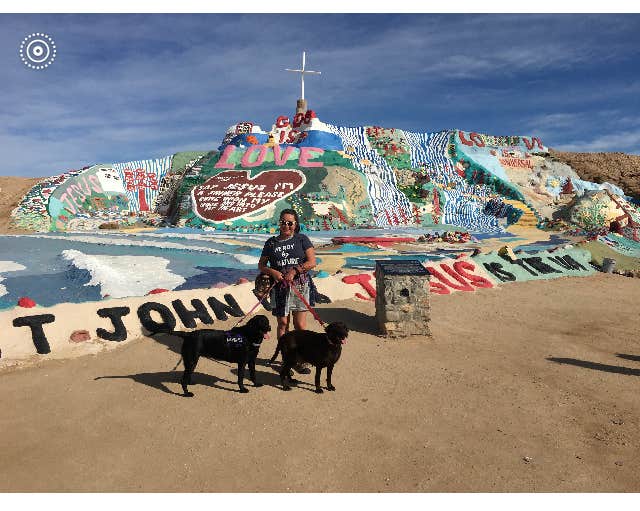 Jeannie B.'s photo of camping with pets at Salton Sea Sra near El Centro, CA
