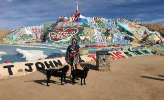 Jeannie B.'s photo of camping with pets at Salton Sea Sra near Niland, CA