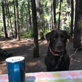 Review photo of Jubilee Railroad Wilderness Lodge & Campground was Railroad Park Resort by Jeannie B., October 29, 2020