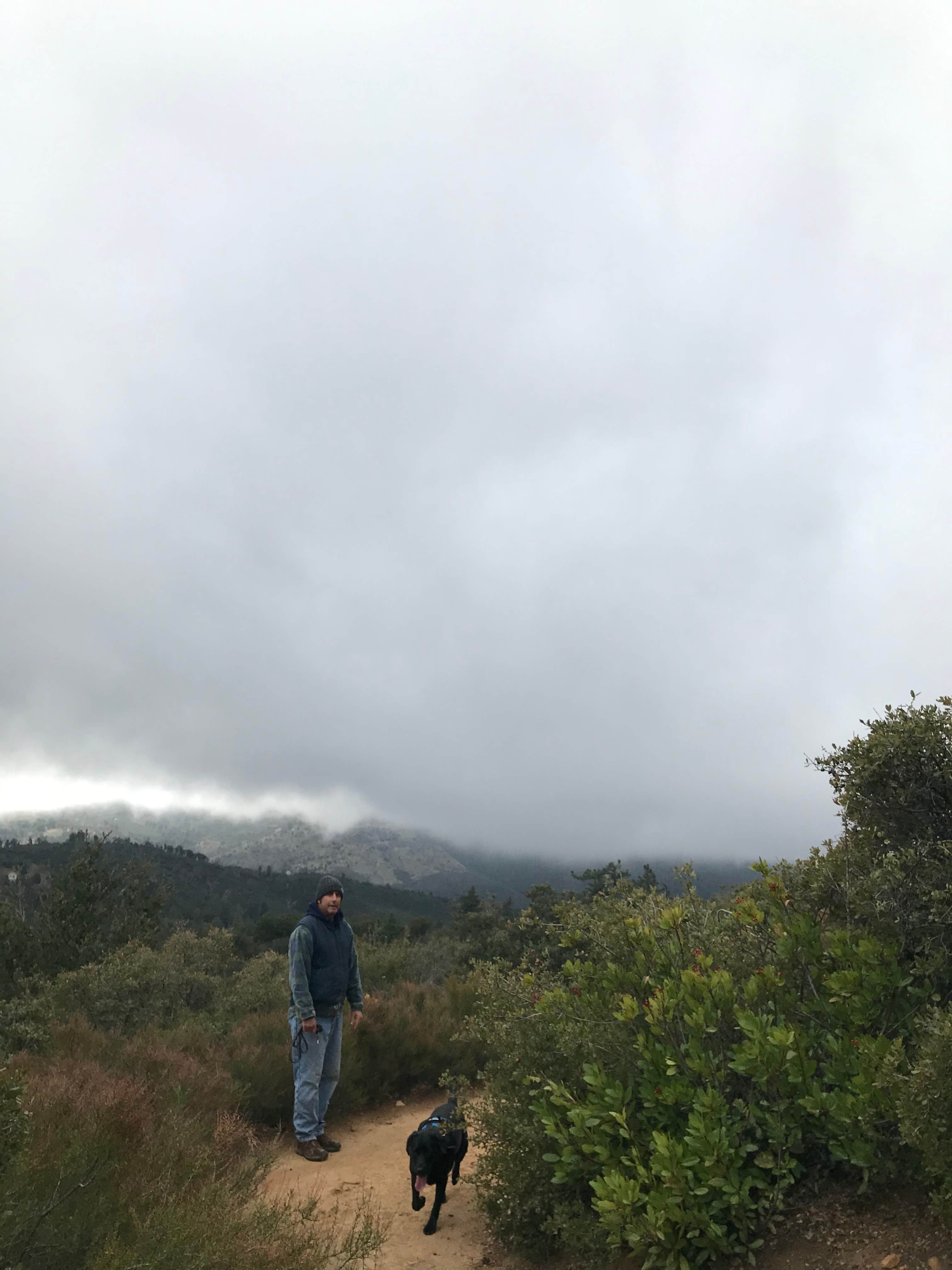 Jeannie B.'s photo of camping with pets at William Heise County Park near Ocotillo Wells, CA