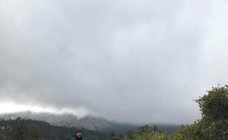 Jeannie B.'s photo of camping with pets at William Heise County Park near Borrego Springs, CA