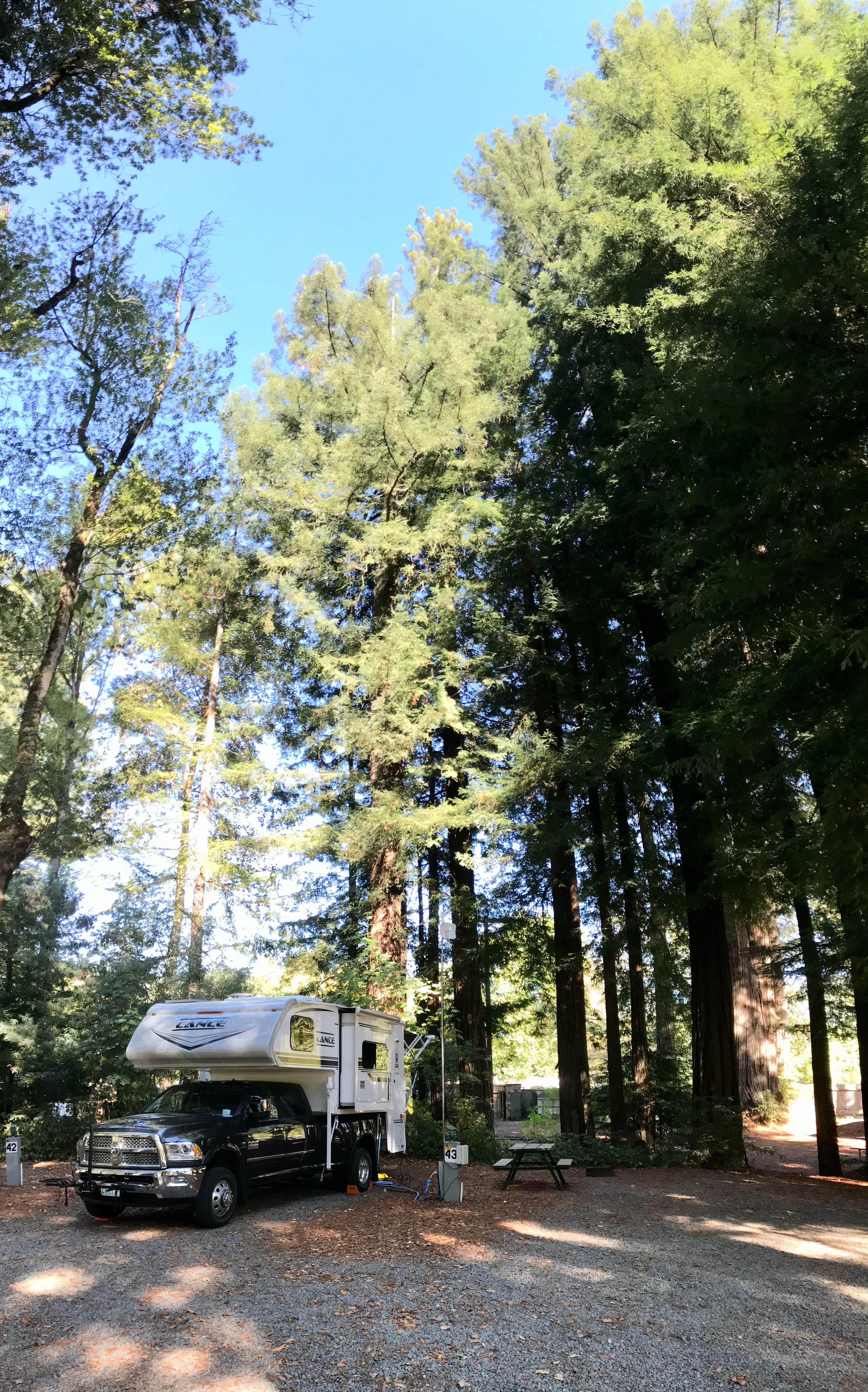 David M.'s photo of rv camping at Giant Redwoods RV & Cabin Destination near Redway, CA