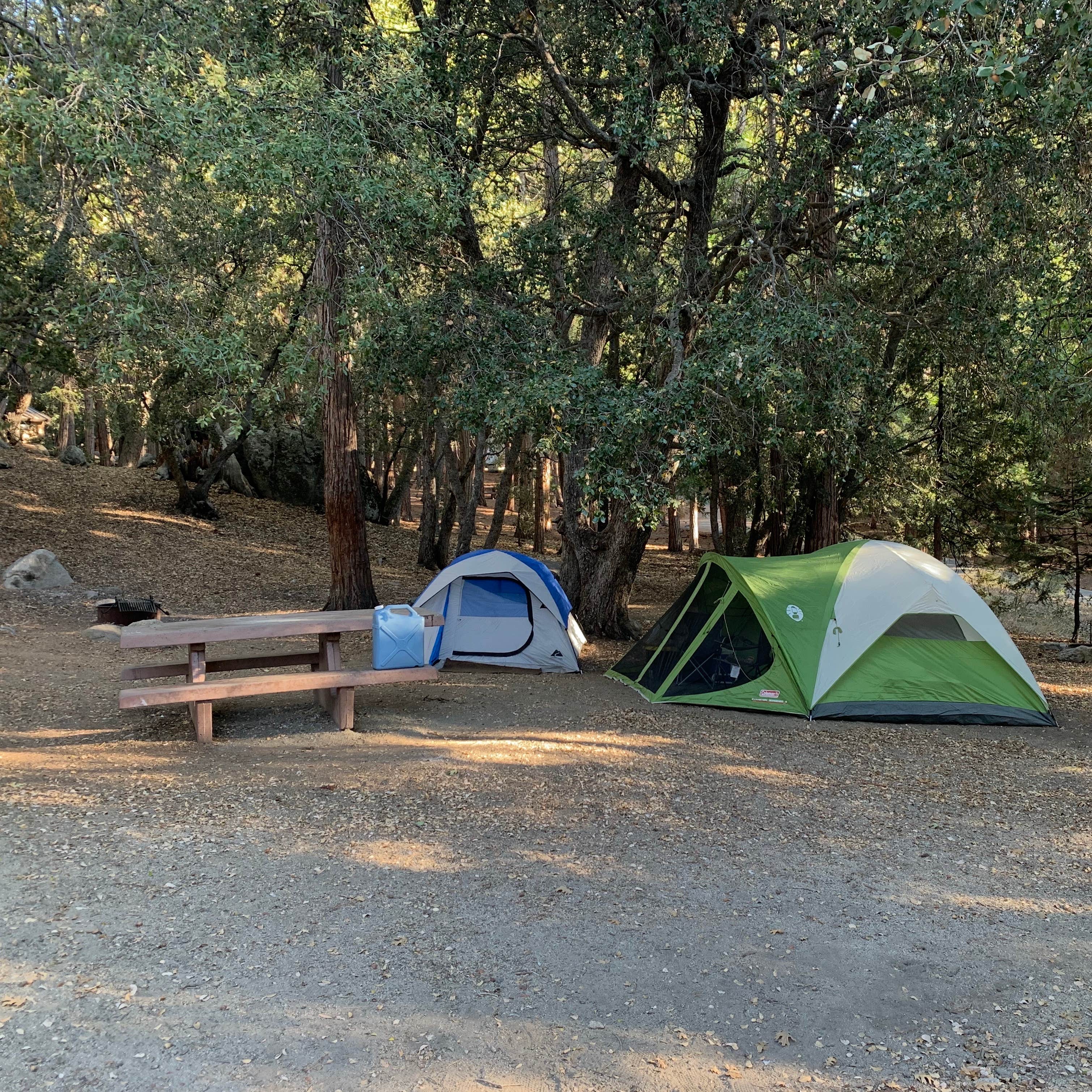 Matt R.'s photo at Fern Basin Campground near San Jacinto, CA
