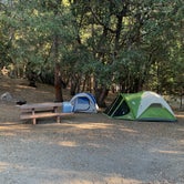 Review photo of Fern Basin Campground by Matt R., October 29, 2020