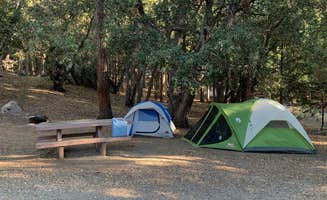 Matt R.'s photo at Fern Basin Campground near San Jacinto, CA