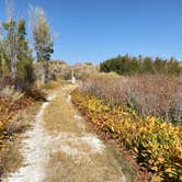 Review photo of Upper Campground - Pahranagat National Wildlife Refuge by Elaine V., October 24, 2020