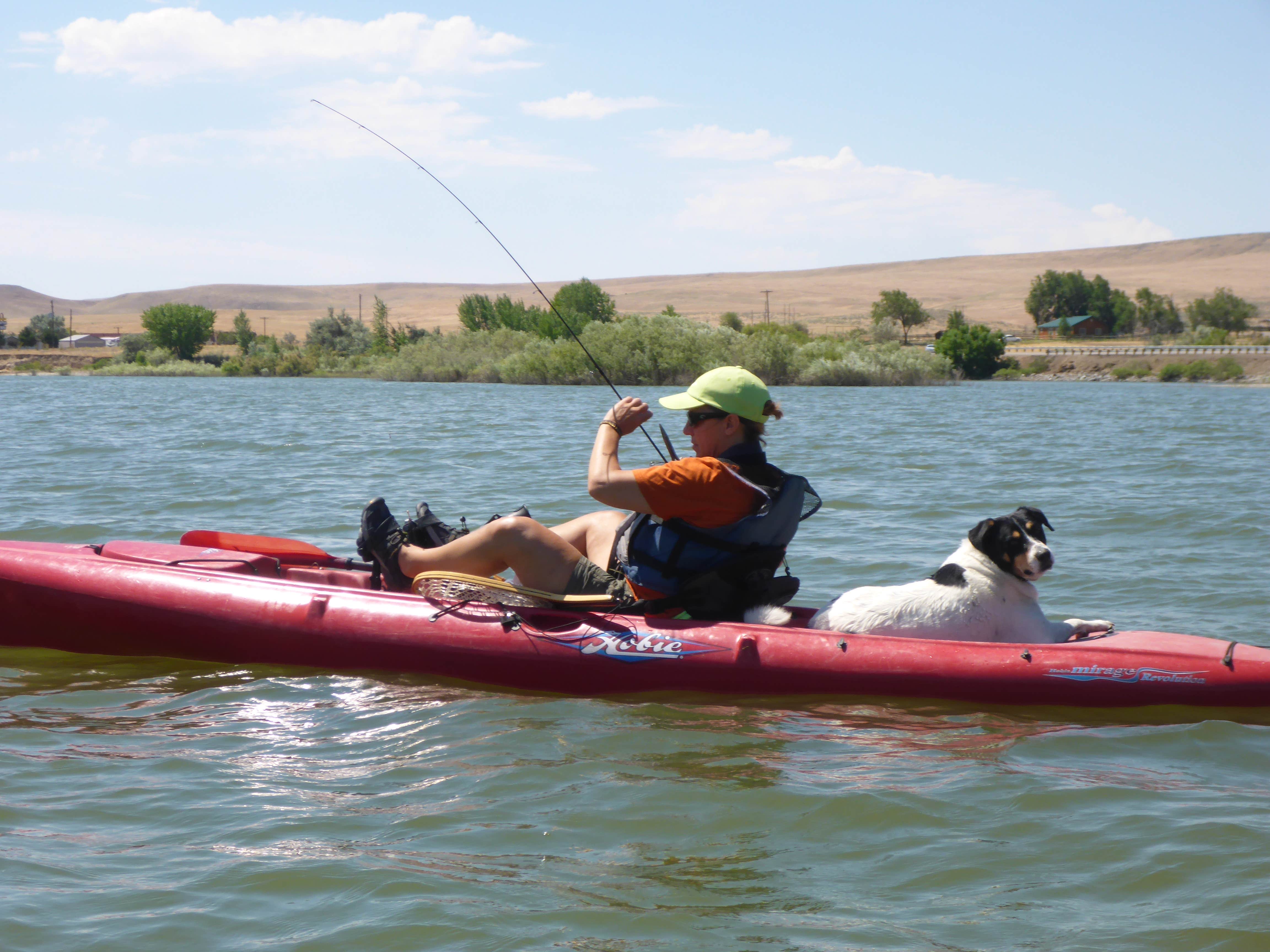 Camper submitted image from Farewell Bend State Recreation Area - 3