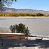 Review photo of Upper Campground - Pahranagat National Wildlife Refuge by Elaine V., October 24, 2020