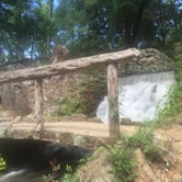 Review photo of Poinsett State Park by Matt G., July 9, 2016