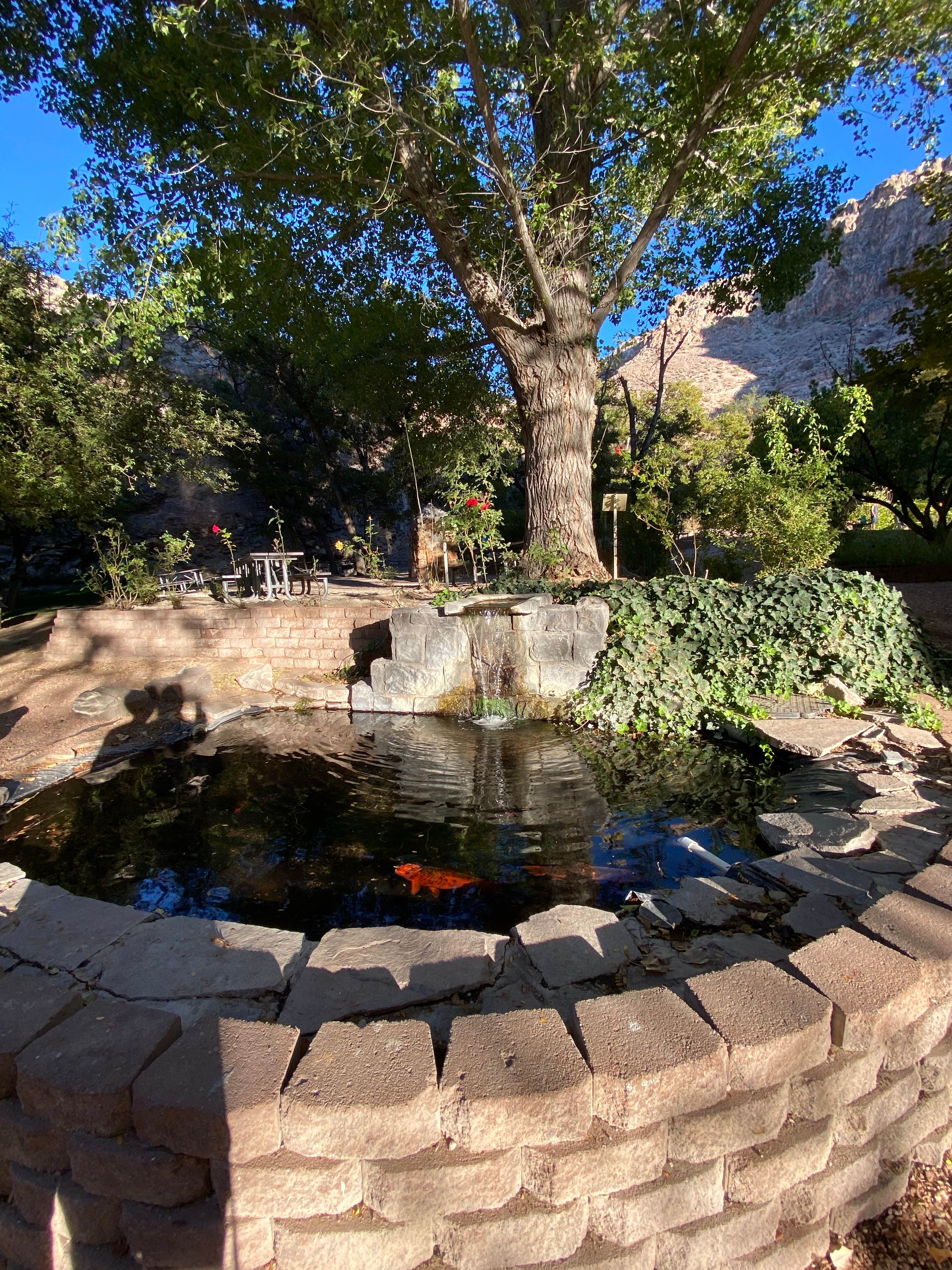 Camping near Mathews Canyon Dam: Kershaw-Ryan State Park, Caliente, Nevada