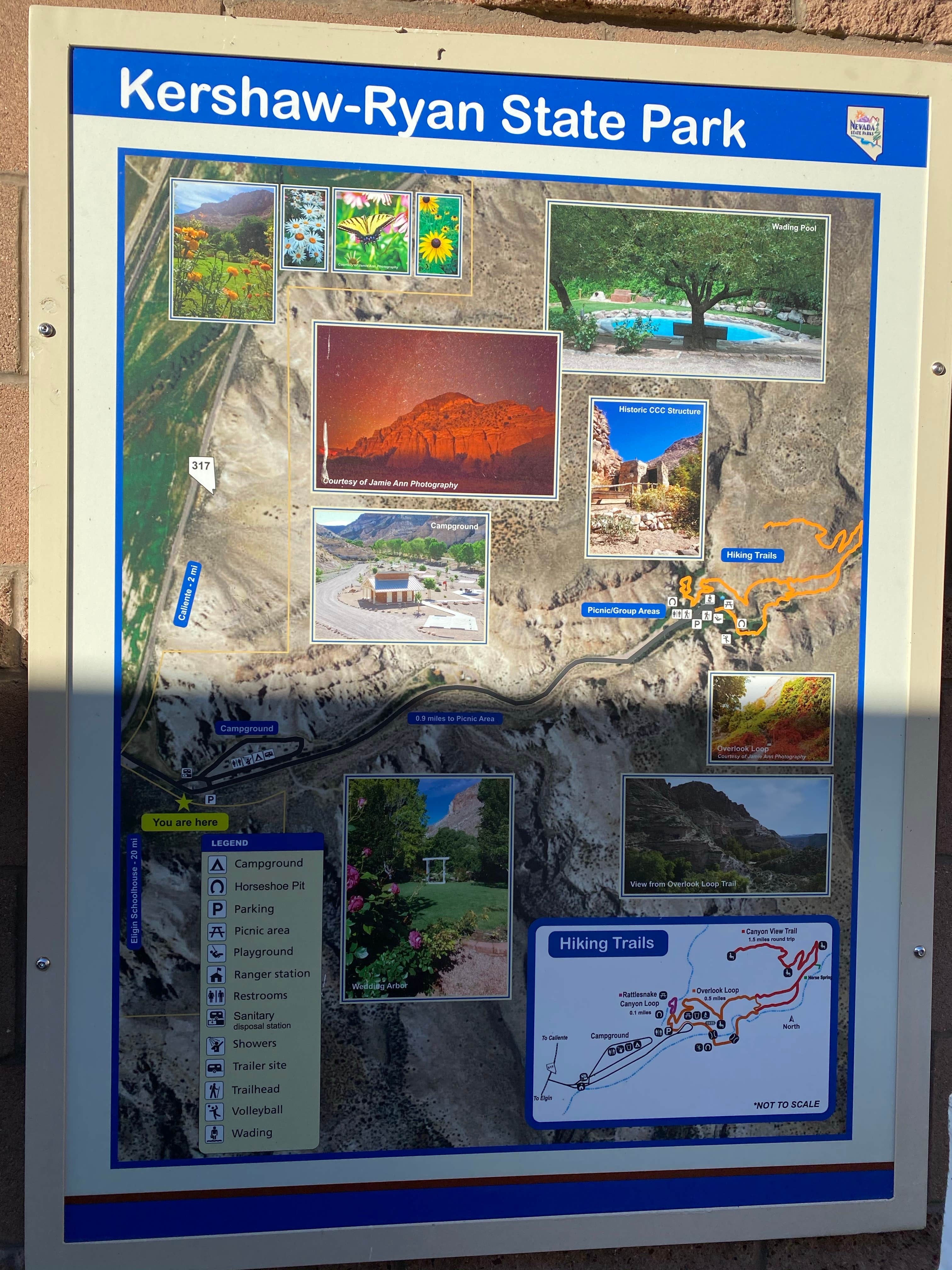 Camper submitted image from Kershaw-Ryan State Park - 4