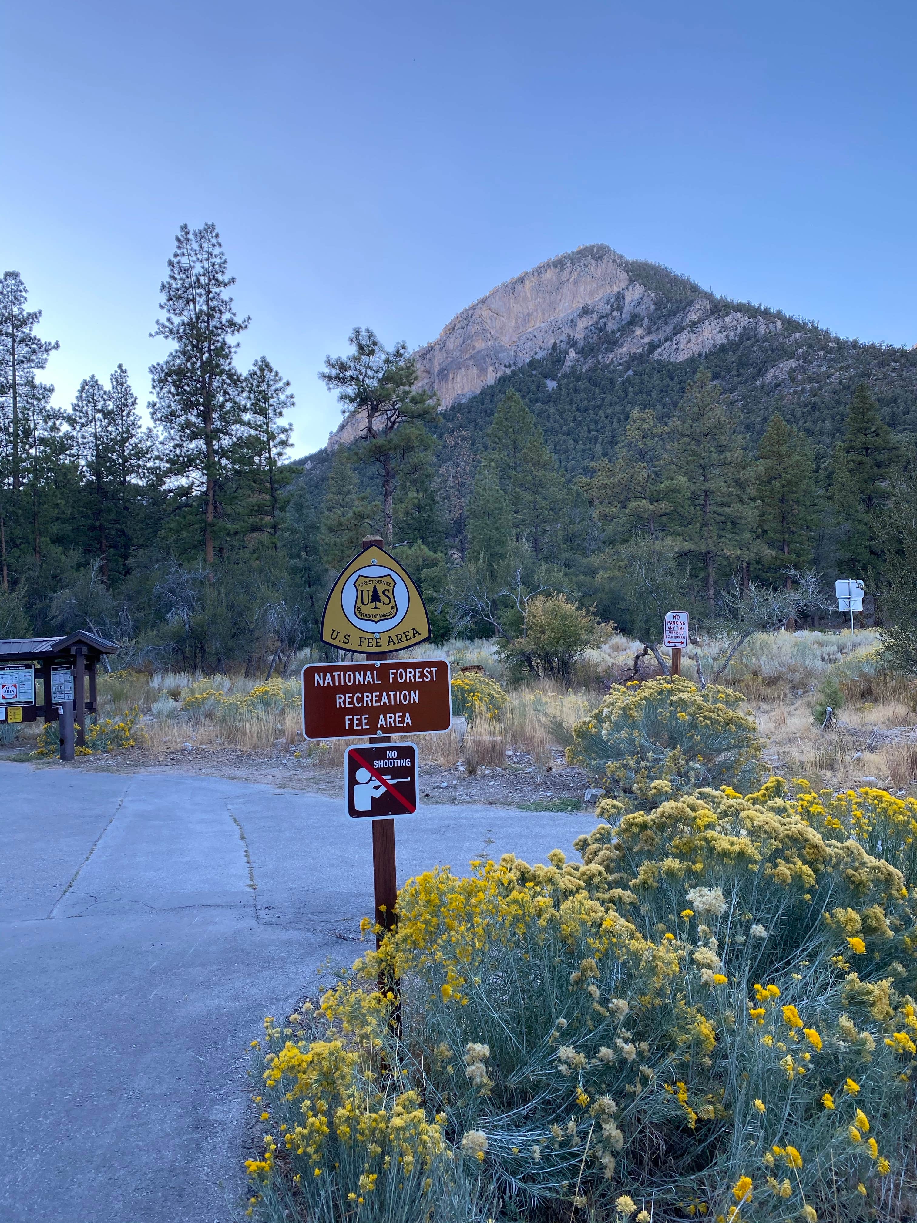 Camper submitted image from Fletcher View - 5