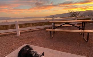 Elaine V.'s photo of camping with pets at Boulder Beach Campground — Lake Mead National Recreation Area near Boulder City, NV