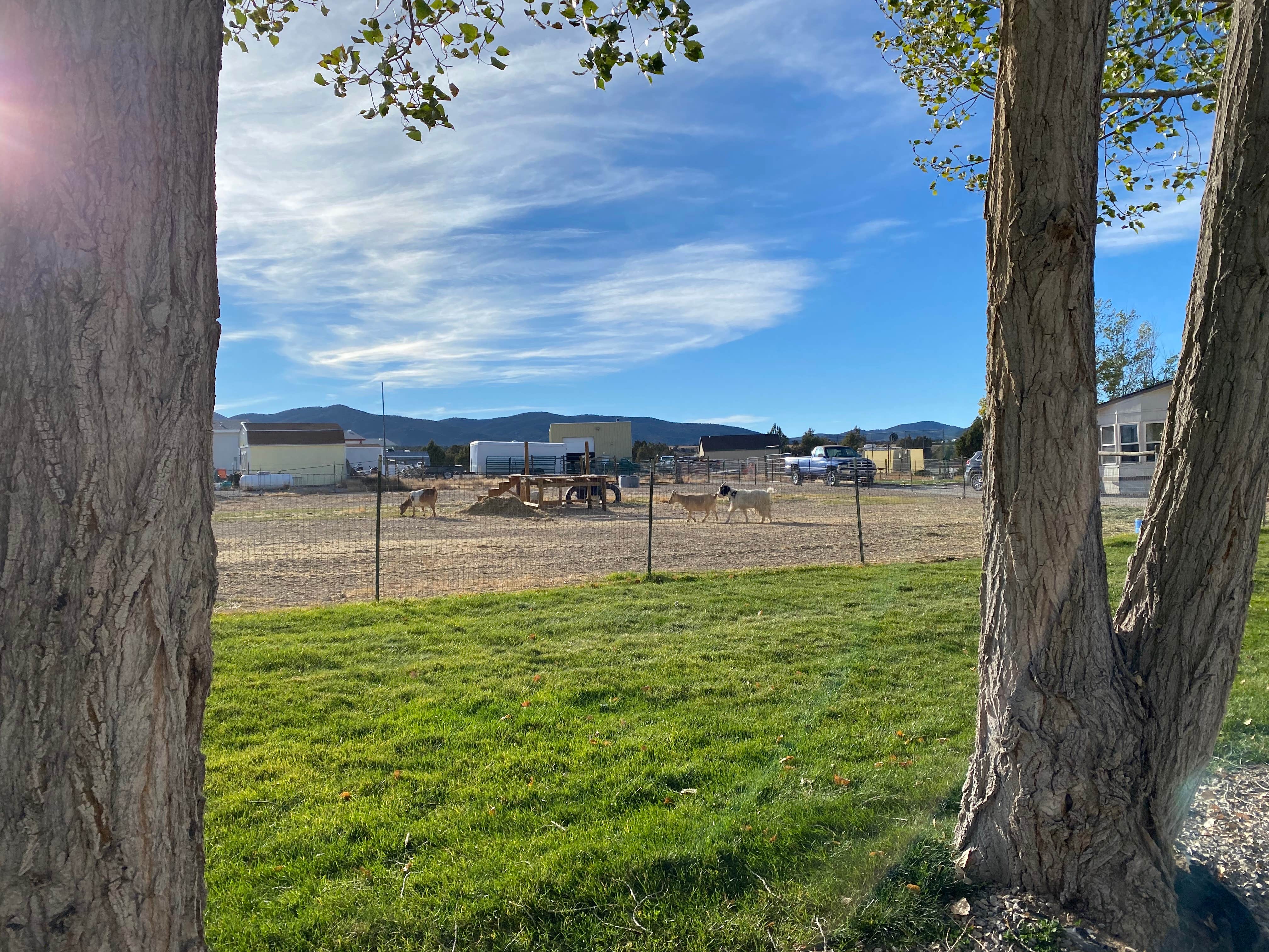 Camper-submitted photo at Ely KOA near Garrison, UT