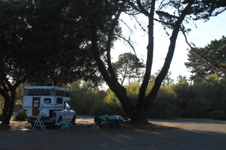 Jeannie B.'s photo at Oceano Campground — Pismo State Beach near Santa Maria, CA