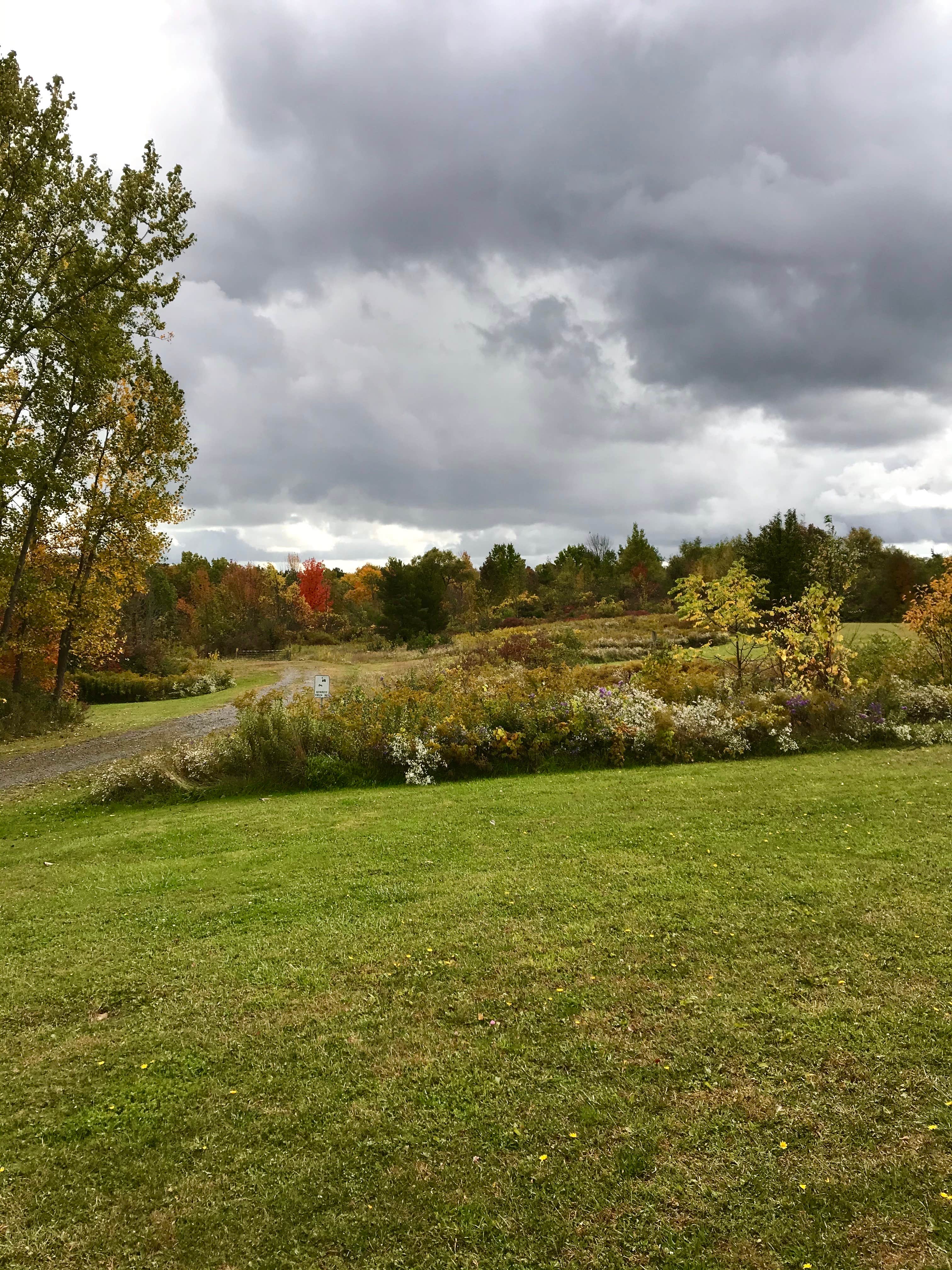 Camper submitted image from Darien Lake Campground - 2