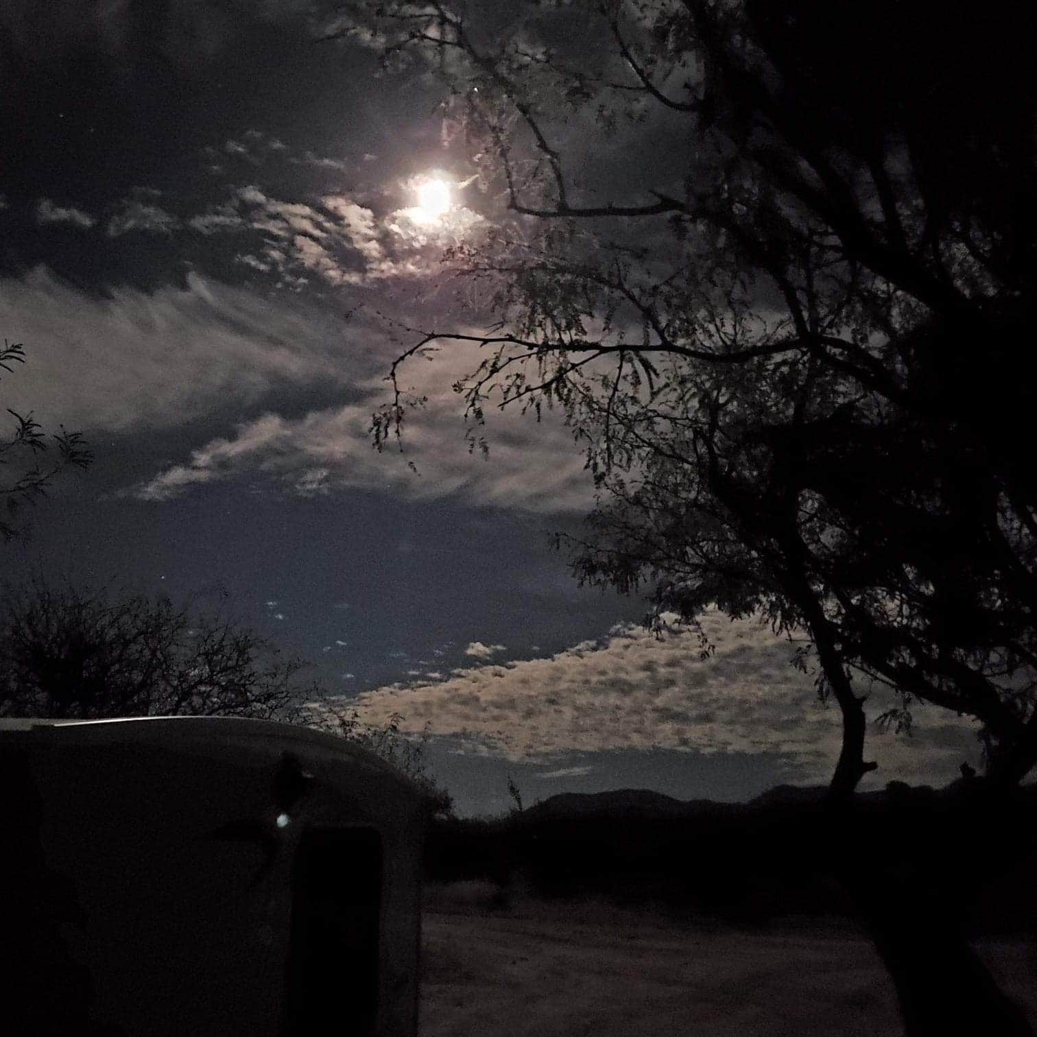 Triangle T Guest Ranch Camping | The Dyrt