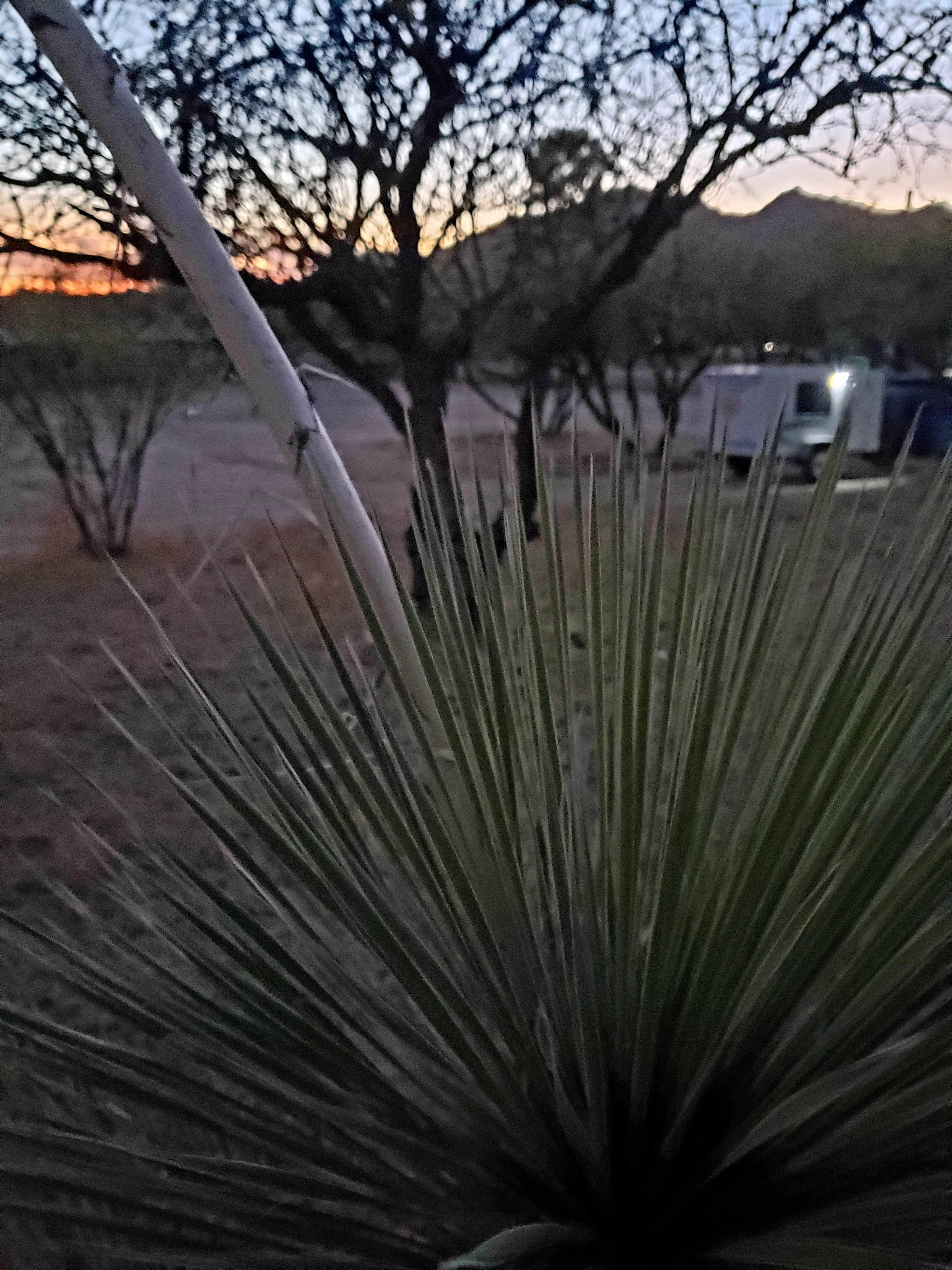 Camper-submitted photo at Triangle T Guest Ranch near Sonoita, AZ