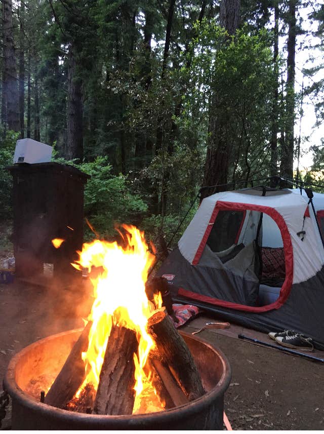 Jeannie B.'s photo at Samuel P. Taylor State Park Campground near Inverness, CA