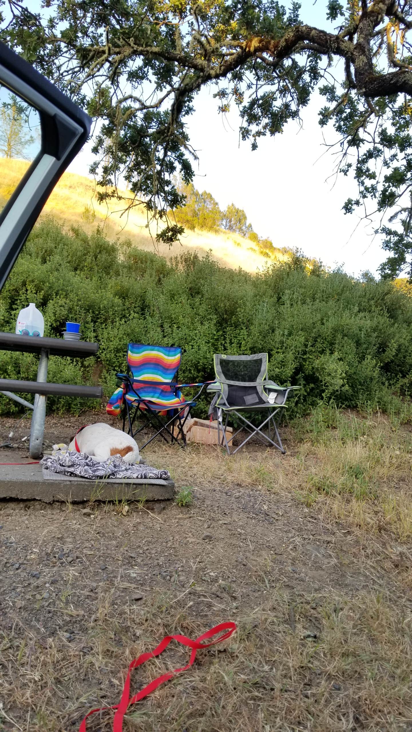 Julie D.'s photo at Liberty Glen Campground - Temporarily Closed for Maintenance near Cobb, CA