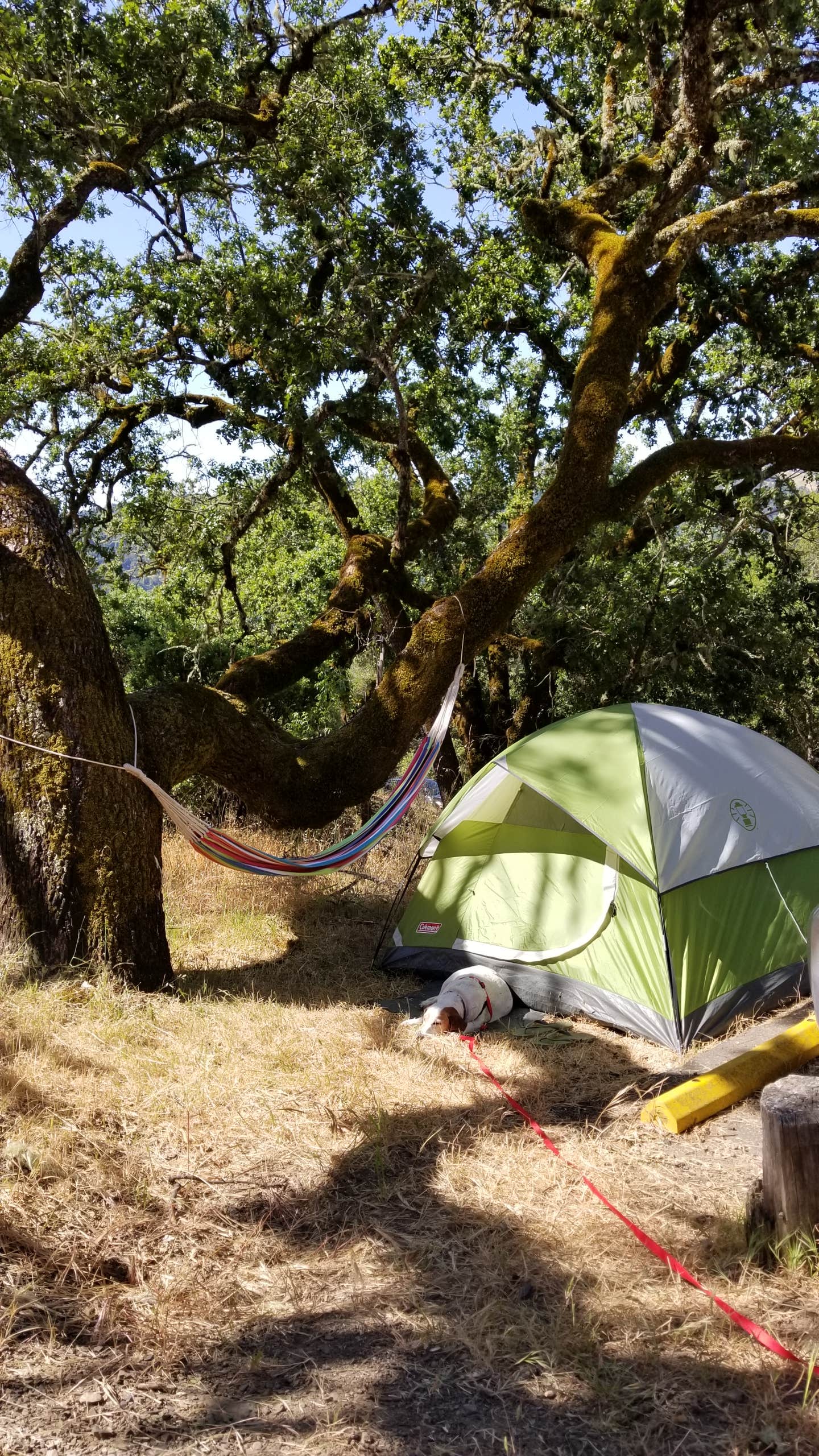 Julie D.'s photo at Liberty Glen Campground - Temporarily Closed for Maintenance near Geyserville, CA