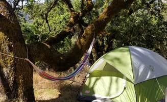 Julie D.'s photo at Liberty Glen Campground - Temporarily Closed for Maintenance near Lake Sonoma