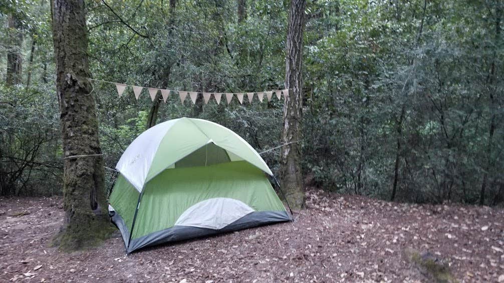 Julie D.'s photo at Lower Blooms Creek — Big Basin Redwoods State Park — CAMPGROUND CLOSED near Stanford, CA