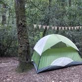 Review photo of Lower Blooms Creek — Big Basin Redwoods State Park — CAMPGROUND CLOSED by Julie D., October 30, 2020