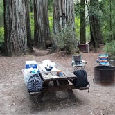 Review photo of Lower Blooms Creek — Big Basin Redwoods State Park — CAMPGROUND CLOSED by Julie D., October 30, 2020