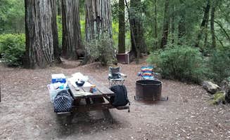 Julie D.'s photo at Lower Blooms Creek — Big Basin Redwoods State Park — CAMPGROUND CLOSED near Loma Mar, CA