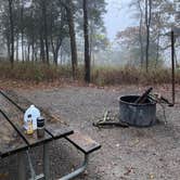 Review photo of Pharoah - Garden of the Gods Rec Area Campground by Steve C., October 30, 2020