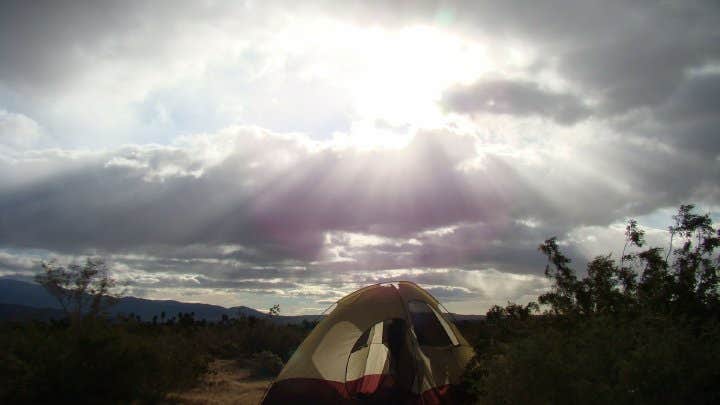 Jeannie B.'s photo at Borrego Palm Canyon Campground — Anza-Borrego Desert State Park near San Ysidro, CA