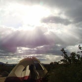 Review photo of Borrego Palm Canyon Campground — Anza-Borrego Desert State Park by Jeannie B., October 30, 2020
