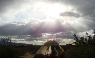 Jeannie B.'s photo at Borrego Palm Canyon Campground — Anza-Borrego Desert State Park near Coolidge Springs, CA