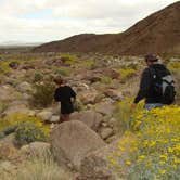 Review photo of Borrego Palm Canyon Campground — Anza-Borrego Desert State Park by Jeannie B., October 30, 2020