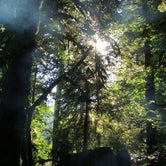 Review photo of Mill Creek Campground — Del Norte Coast Redwoods State Park by Jeannie B., October 30, 2020