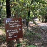 Review photo of Robbers Cave State Park — Robbers Cave State Resort Park by Cheryl T., October 30, 2020