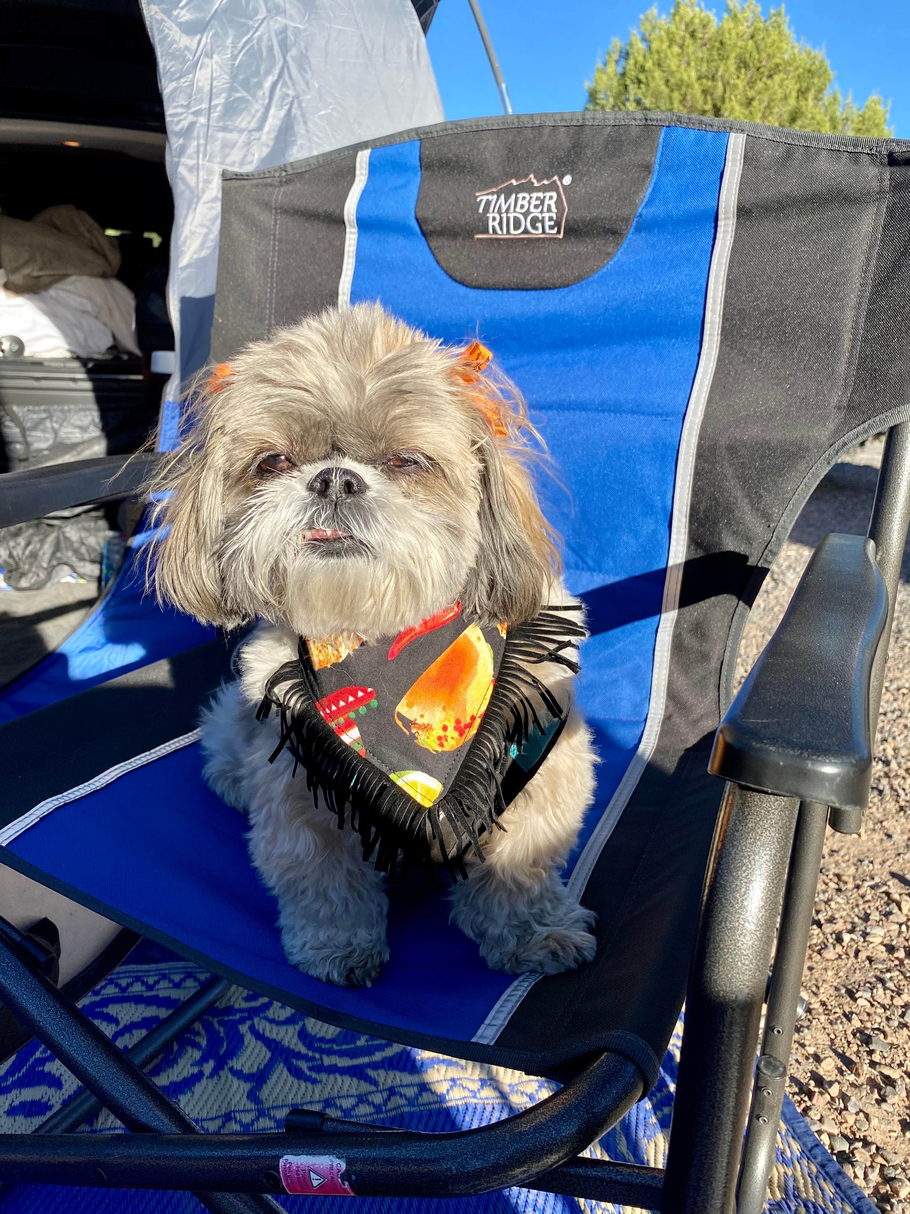 Claudia B.'s photo of camping with pets at Los Sueños de Santa Fe RV Park & Campground near Eldorado at Santa Fe, NM