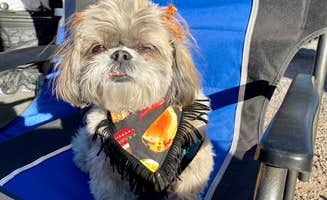 Claudia B.'s photo of camping with pets at Los Sueños de Santa Fe RV Park & Campground near Santa Fe National Forest