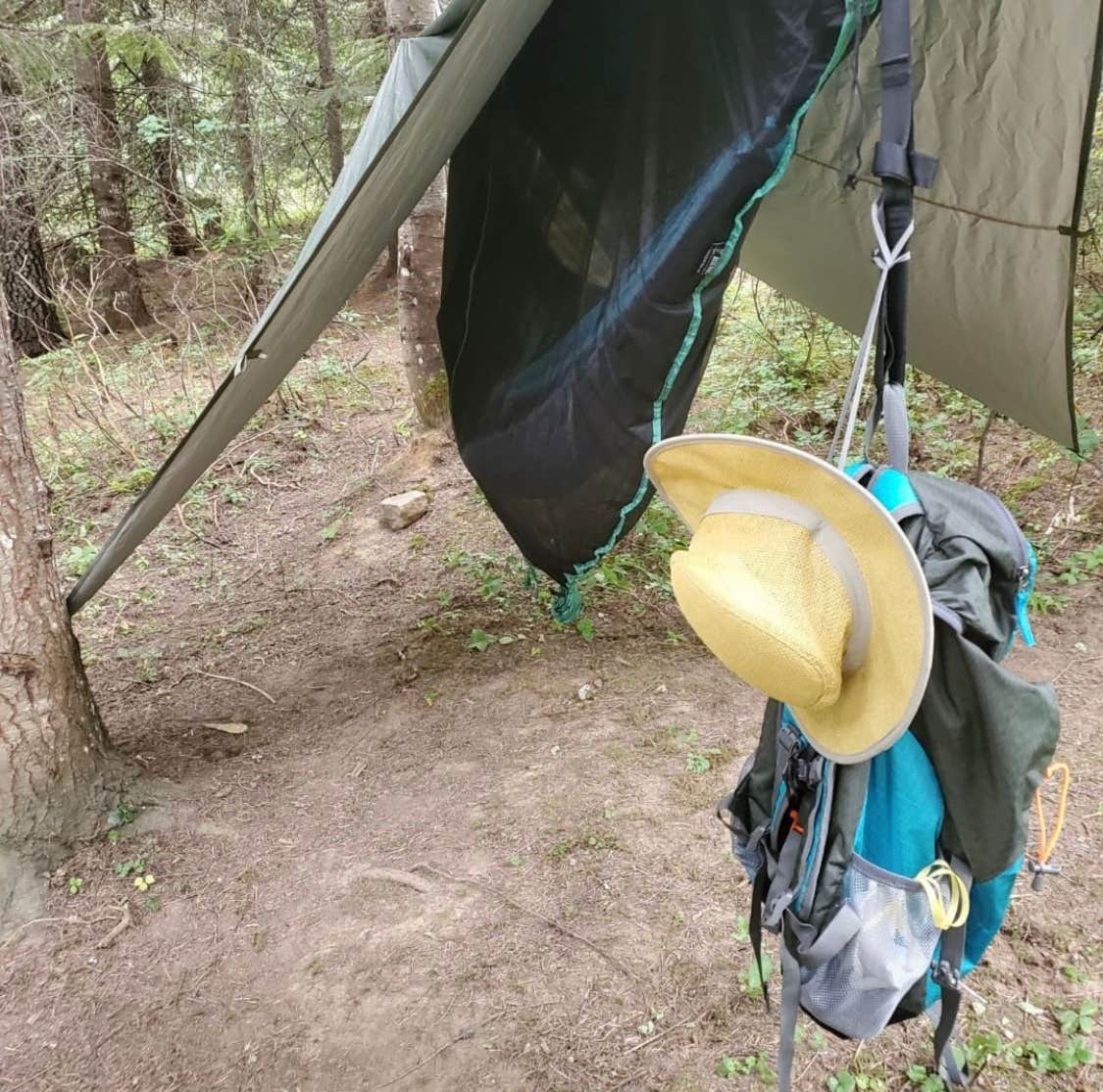 Garfield Bay Campground Sagle, ID