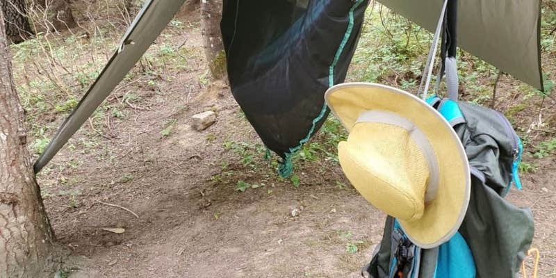 Camper submitted image from Garfield Bay Campground