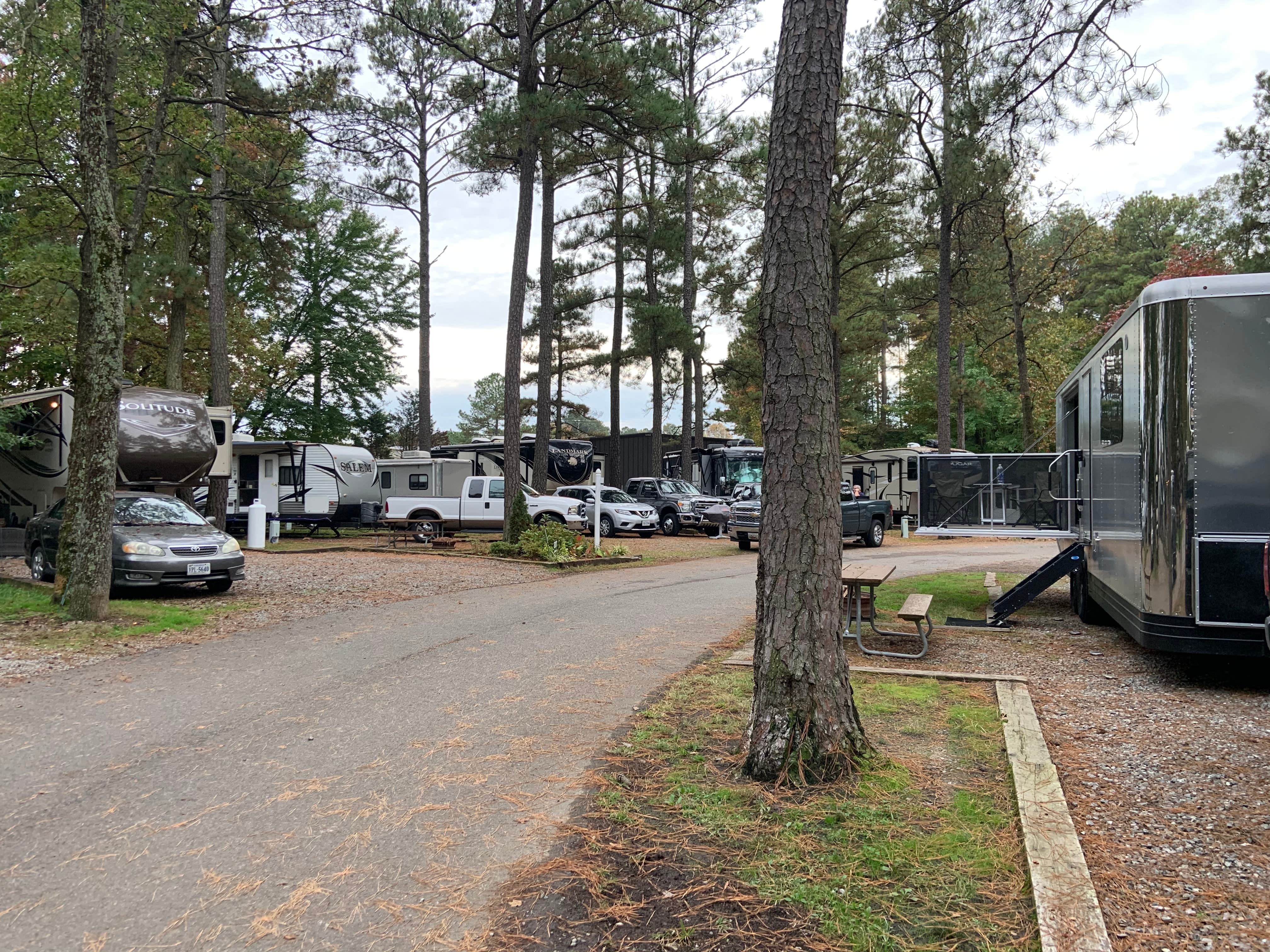 Taylor D.'s photo of rv camping at Americamps RV Resort near Broad Run, VA