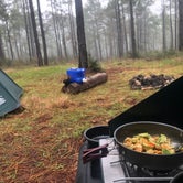 Review photo of Oak Camp Complex by Hannah L., October 30, 2020