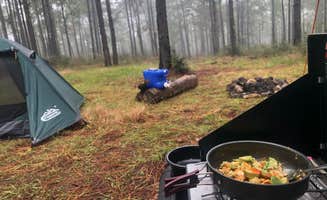 Hannah L.'s photo at Oak Camp Complex near Gorum, LA